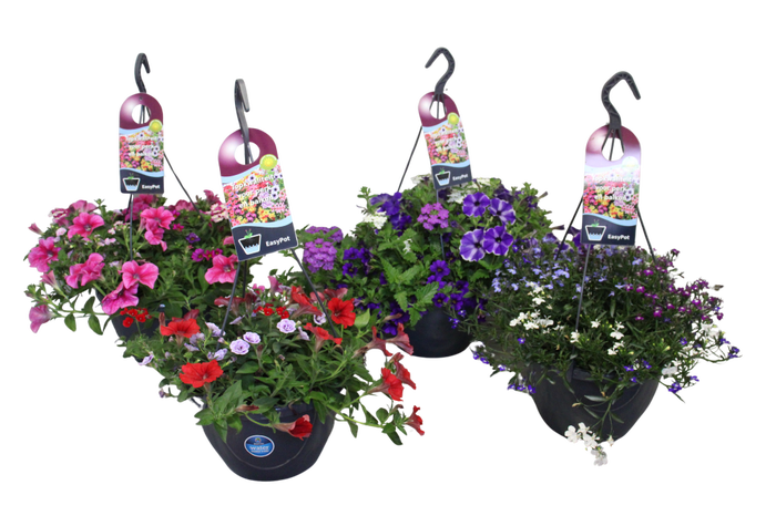 <h4>'Weekaanbieding; Hangpotten 27 waterreservoir Divers</h4>