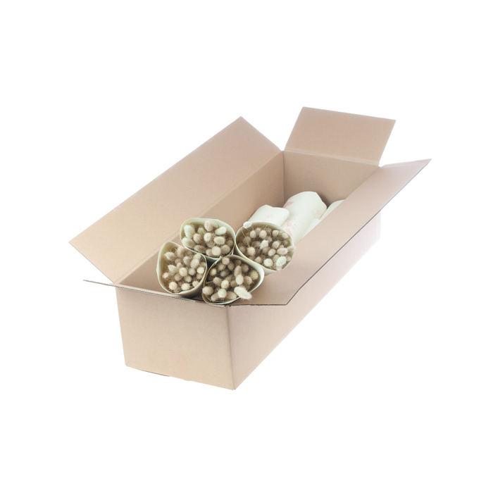 <h4>Lagurus ov. natural</h4>