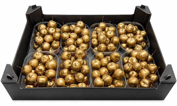 <h4>Waxmalus Goud</h4>