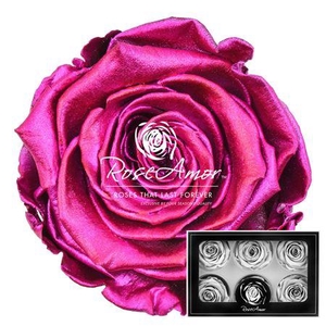 Lplus Metallic Pink