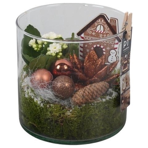 Opm Pt PTCHB9875 X-mas Bronze Glas Pot