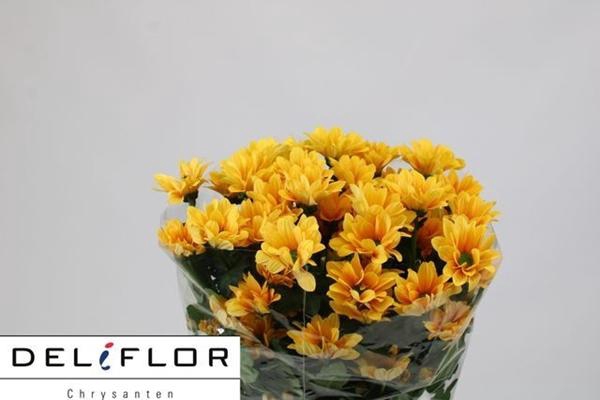 <h4>CHR T OVERIG</h4>