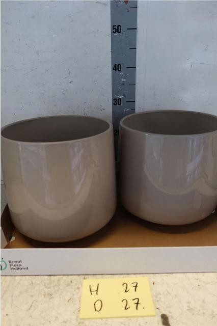 <h4>HUIS EN TUINDECO H%</h4>