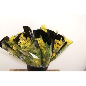 Mimosa Mirandole 200gr P Bunch