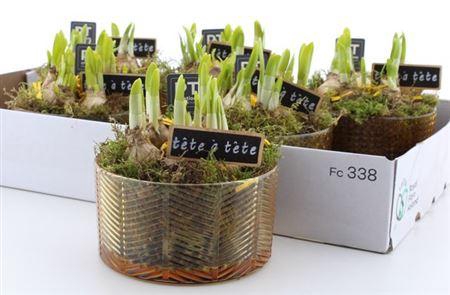 <h4>Arr N Tete A Tete</h4>