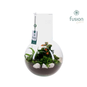 Green Bottle Suzanne Large met arrangement