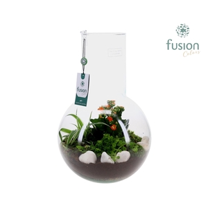 Green Bottle Suzanne Large met arrangement