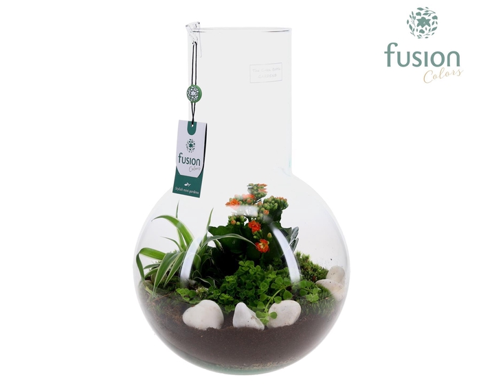 <h4>Green Bottle Suzanne Large met arrangement</h4>