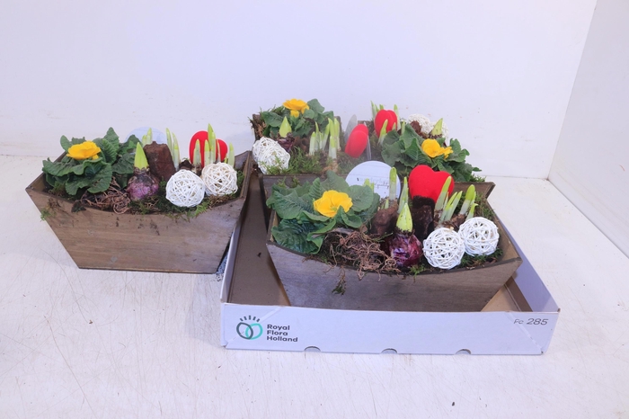 <h4>ARR TUINPLANTEN</h4>