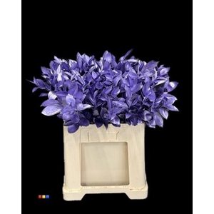 Ruscus Metallic Light Purple