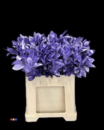 <h4>Ruscus Metallic Light Purple</h4>