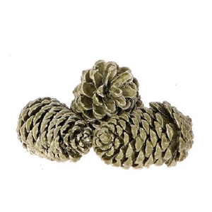 Pine cone Maritima wax 12cm x3