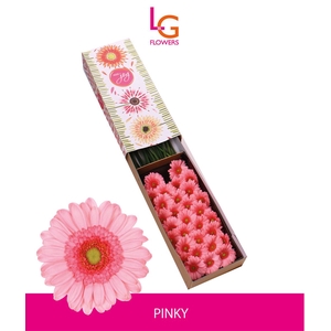 Ge Mi Harveys - Fust 575
