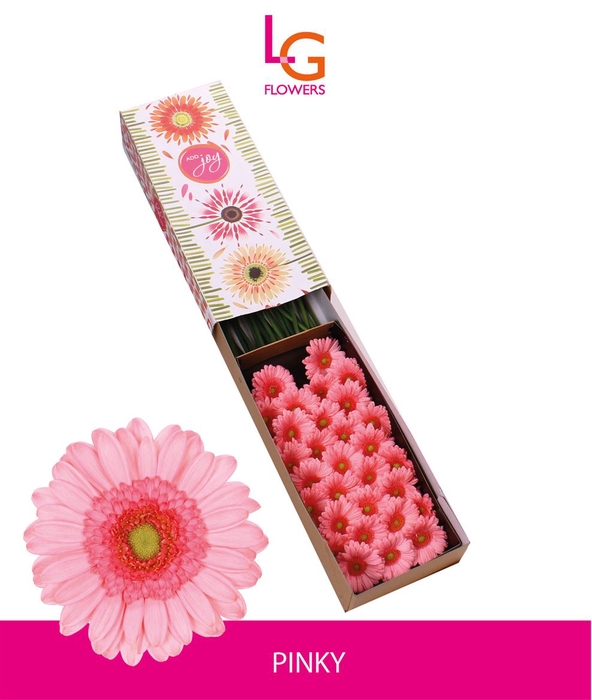 <h4>Ge Mi Harveys - Fust 575</h4>
