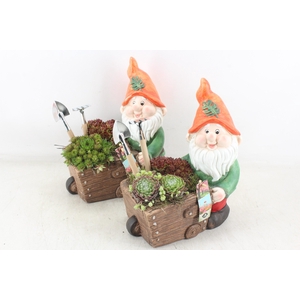 arr4 Semp JS - Kabouter met kruiwagen x2