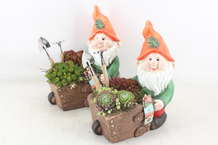 <h4>arr4 Semp JS - Kabouter met kruiwagen x2</h4>