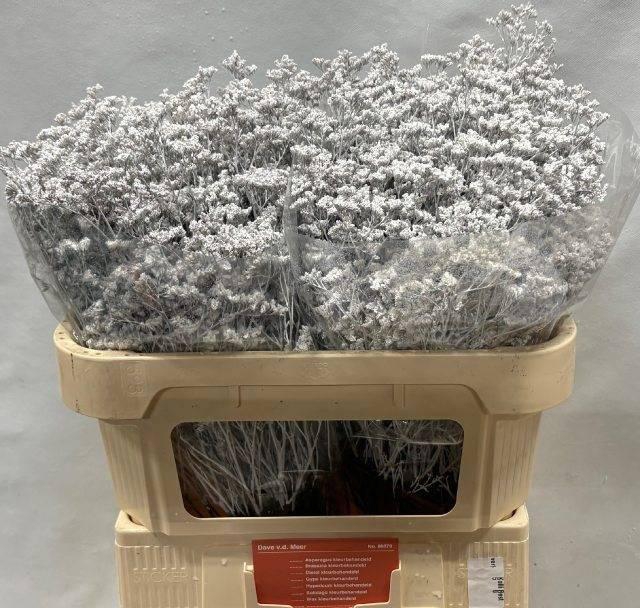 <h4>LIM OV KLB H%</h4>