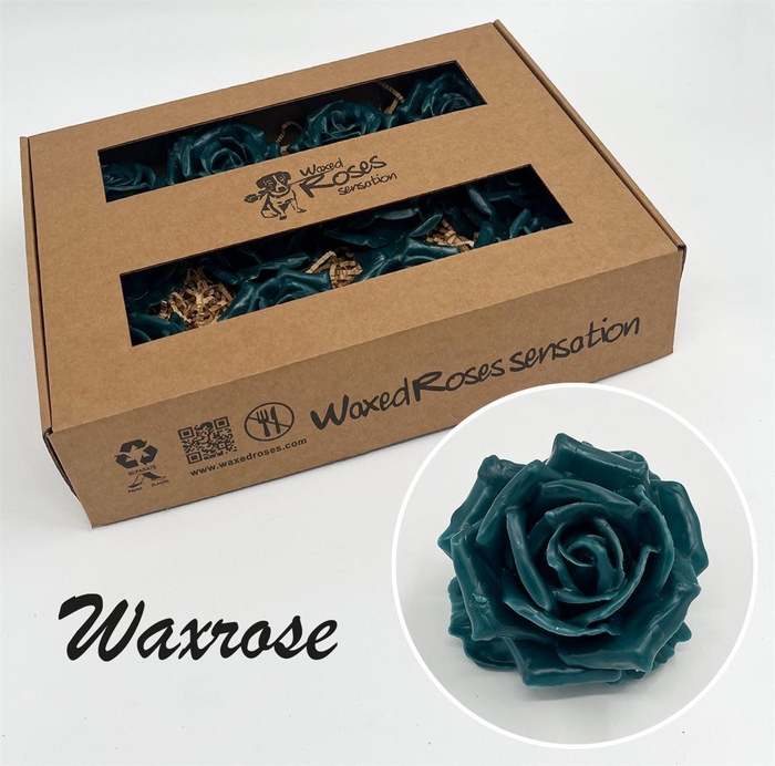 <h4>Zijde R Wx Dark Green (dark Mint)</h4>