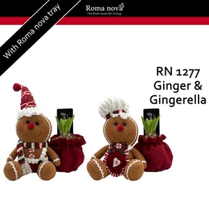 arr4 Hyacint RN - Ginger & Gingerella