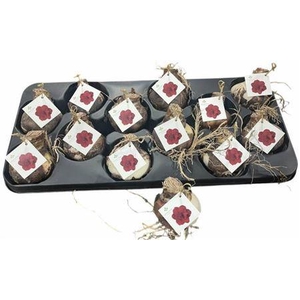 Bloembol Hippeastrum Rood