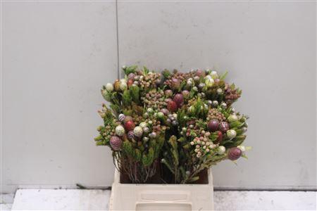 <h4>Kaaps Cone Mix Xxl</h4>