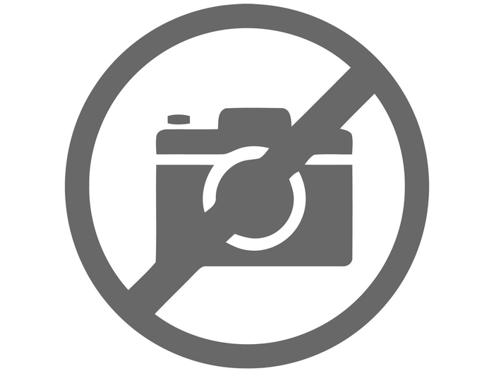 <h4>PHAL OV WIT</h4>