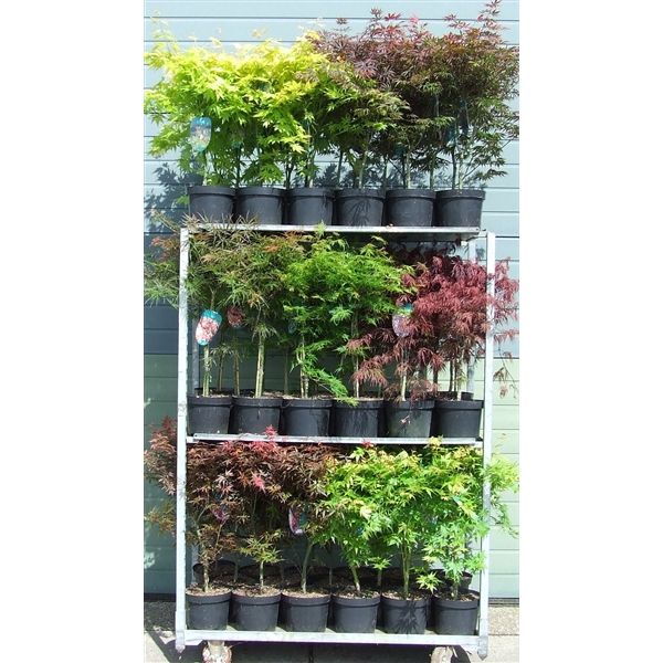 <h4>Acer mix P23</h4>