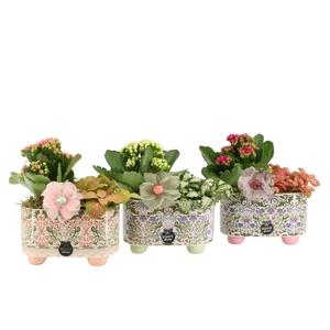 21905: Contradiction arrangement