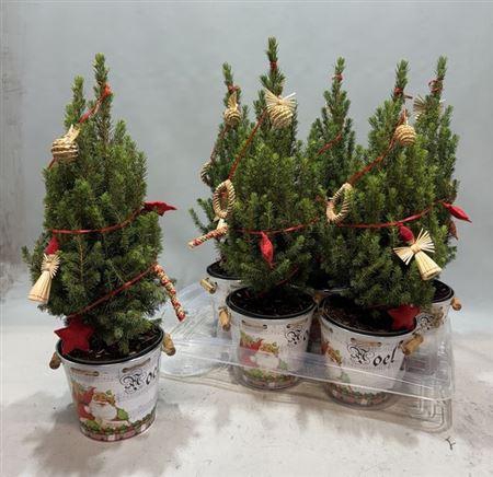 Kerstboom Versierd In Zinken Emmer