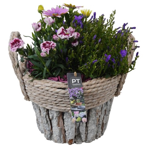 PTPP3195 Arrangementen Tuinplanten