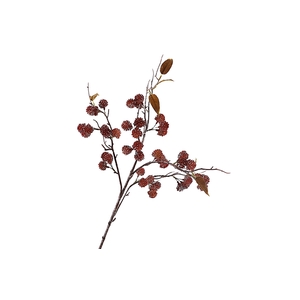 Sedum Spray Burgundy