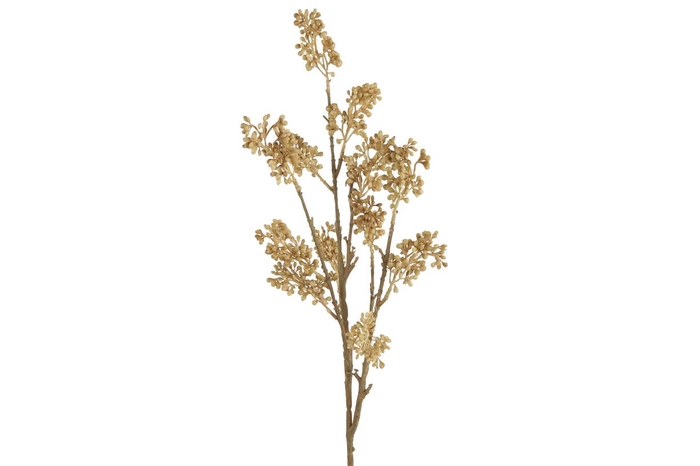 <h4>Af Callicarpa L69cm Crème</h4>