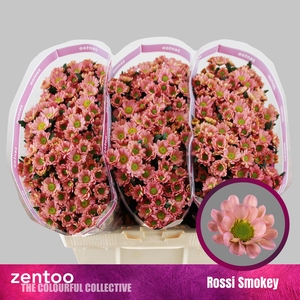 CHR S ROSSI SMOKEY