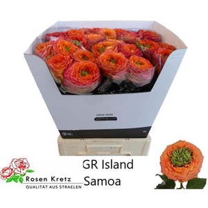 R Gr Gr Island Samoa