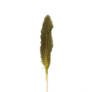 Bijsteker 12cm Hoenderveer 20cm