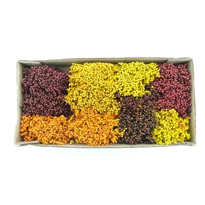 Dried Pepper Berries Autumn Mix