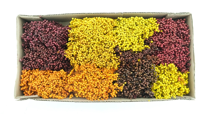 <h4>Dried Pepper Berries Autumn Mix</h4>