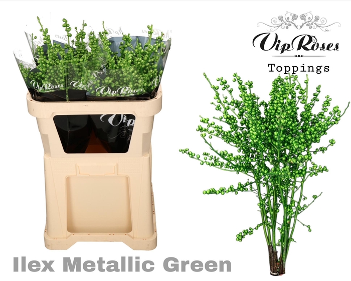 <h4>ILEX METALLIC GREEN 80 cm</h4>