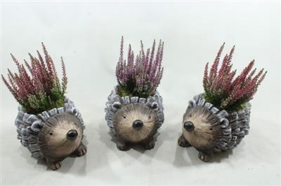 <h4>0330 CALLUNA EGEL</h4>