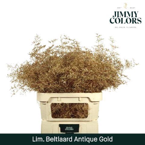 <h4>Lim Bel L90 Metallic Antique Gold</h4>