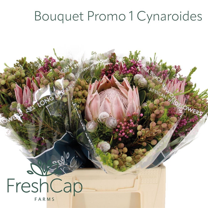 <h4>Bouquet 1 Cynaroides</h4>