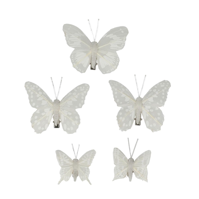 <h4>Spring Butterfly/clip 05/8cm x10</h4>