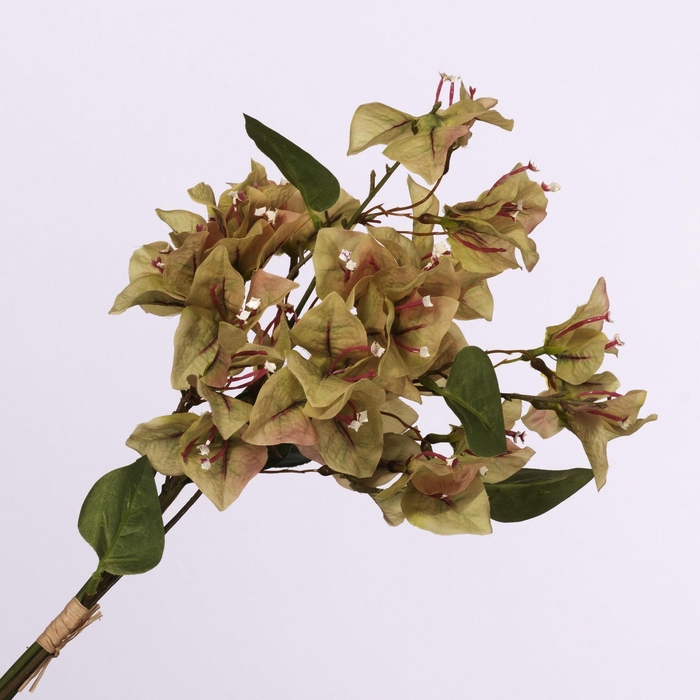 <h4>Bougainvillea Bundle Green BK770001GRN</h4>