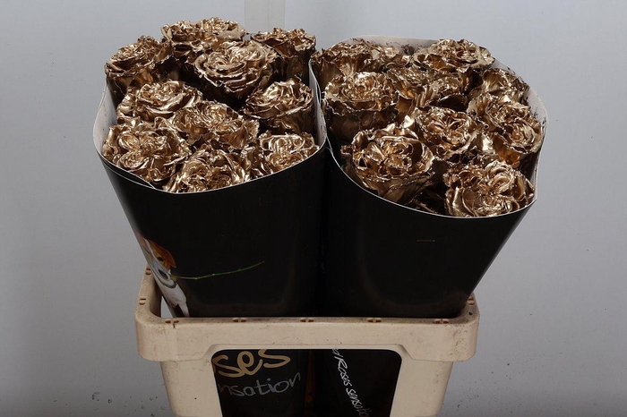 Wax-Rozen Wax Exclusief Goud