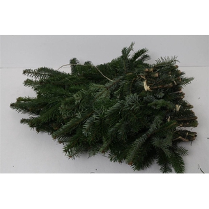 Nordman Handbos 500gr (p. Bos)