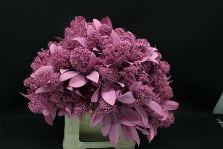 <h4>Skimmia Rose</h4>