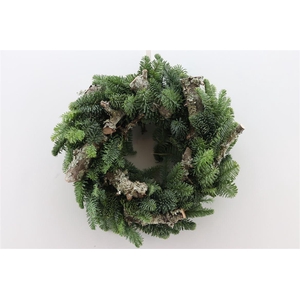 Wr Nobilis Larix 35cm