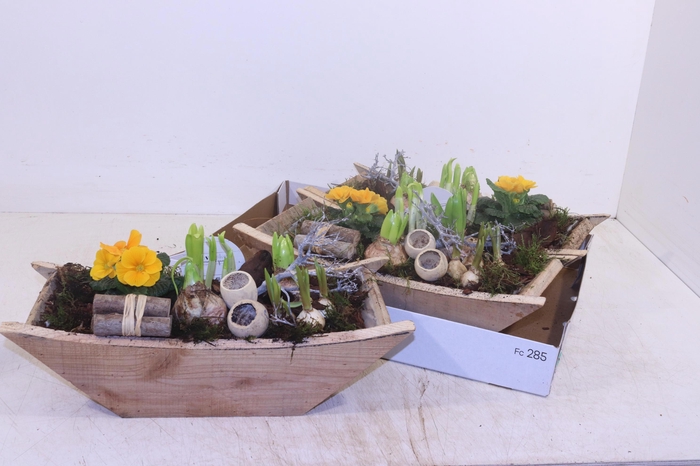 <h4>ARR TUINPLANTEN</h4>