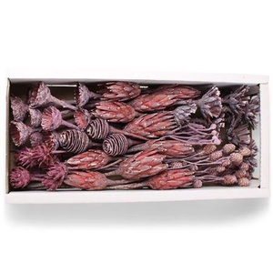 Exotic Assorti Brombeer Frosted ( 70 St )