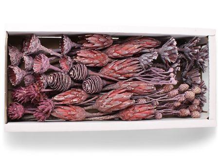 <h4>Exotic Assorti Brombeer Frosted ( 70 St )</h4>